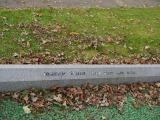 image of grave number 196408